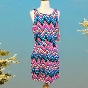 Lilly Pulitzer Kirkland Hearts A Flutter Chevron Dress Florescent size 10